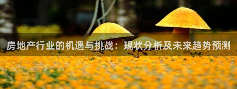 摩登7官网的详细介绍：房地产行业的机遇与挑战：现状分析及未来