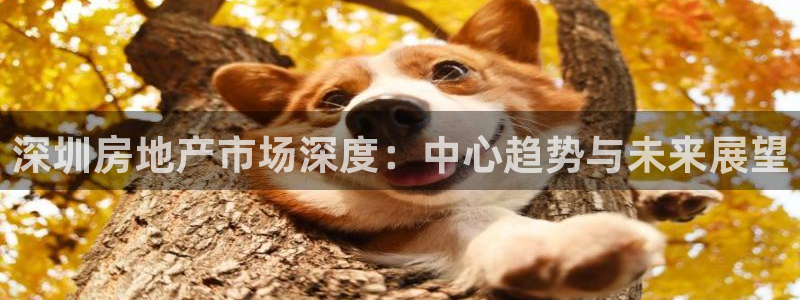 摩登口碑7：深圳房地产市场深度：中心趋势与未来展望