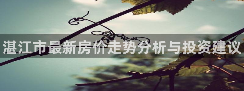 摩登7app官网下载：湛江市最新房价走势分析与投资建议