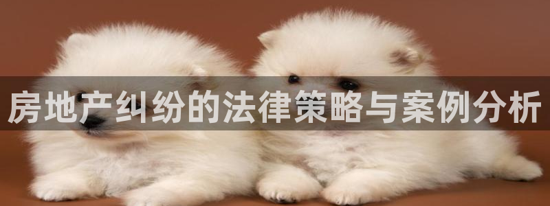 摩登7平台诈骗：房地产纠纷的法律策略与案例分析