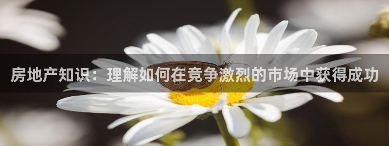 摩登7app下载：房地产知识：理解如何在竞争激烈的市场中获得