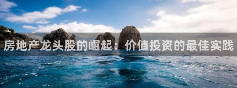 摩登7去3299O7：房地产龙头股的崛起：价值投资的最佳实践