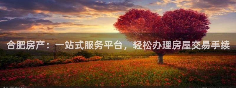 摩登6吕7O667：合肥房产：一站式服务平台，轻松办理房屋交