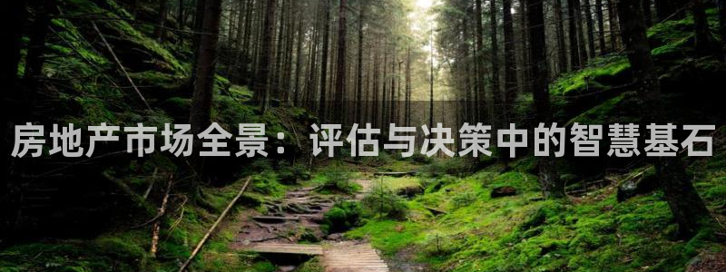 摩登7注册思333OO：房地产市场全景：评估与决策中的智慧基
