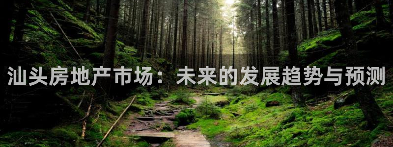 摩登6地7O667：汕头房地产市场：未来的发展趋势与预测