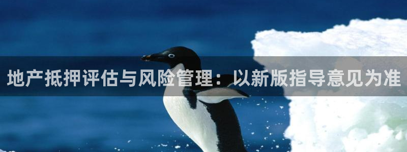 摩登7注册清333OO：地产抵押评估与风险管理：以新版指导意