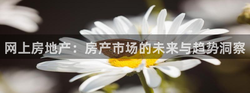 摩登7在线注册加v：网上房地产：房产市场的未来与趋势洞察