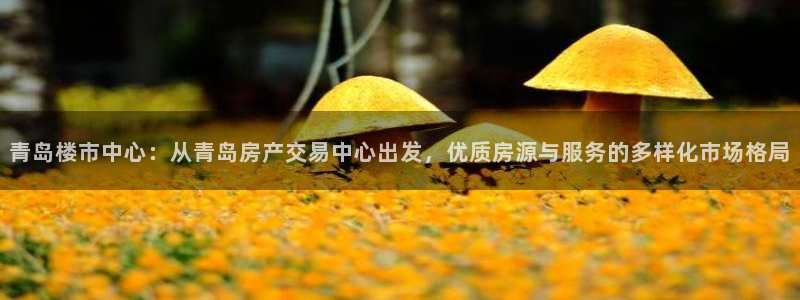 摩登7 平台：青岛楼市中心：从青岛房产交易中心出发，优质房源