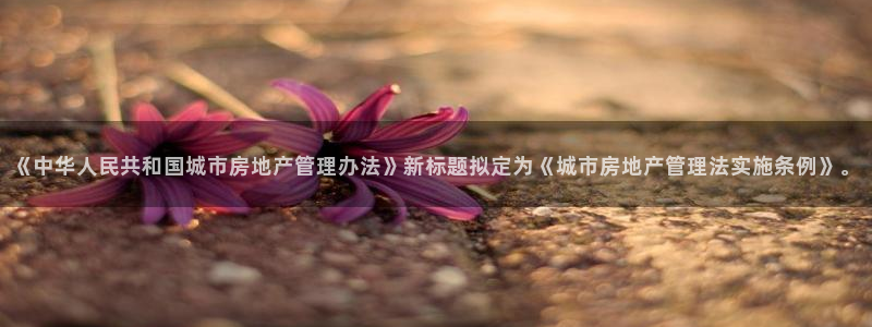 摩登7主管：《中华人民共和国城市房地产管理办法》新标题拟定为