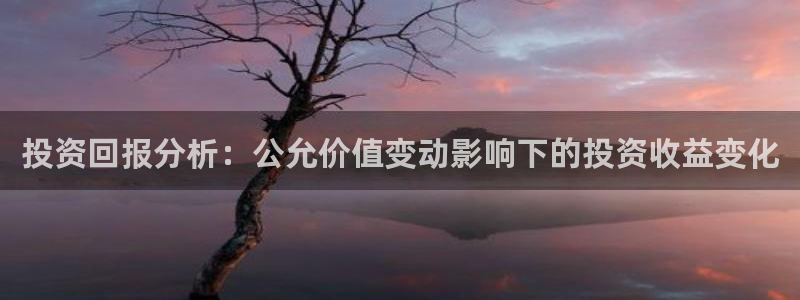 摩登7左：投资回报分析：公允价值变动影响下的投资收益变化