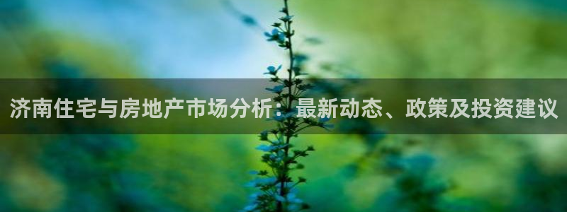 摩登7去3299O7：济南住宅与房地产市场分析：最新动态、政