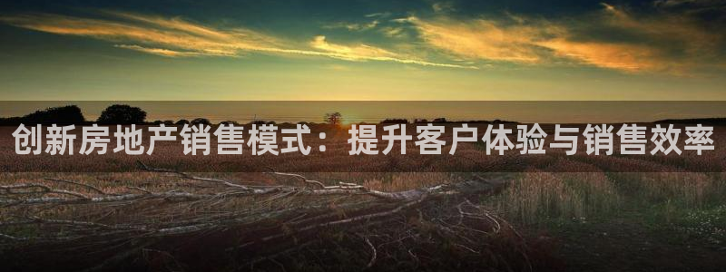 摩登7注册页面：创新房地产销售模式：提升客户体验与销售效率