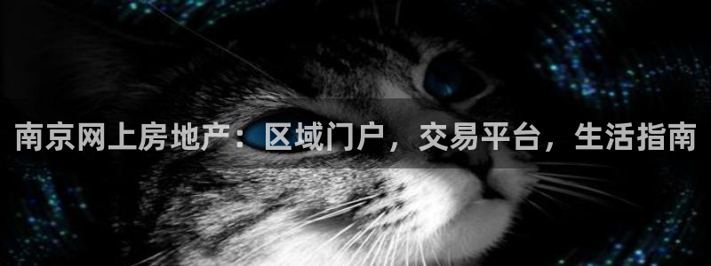 摩登18 7：南京网上房地产：区域门户，交易平台，生活指南
