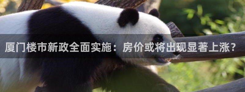 摩登7平台周7O777：厦门楼市新政全面实施：房价或将出现显