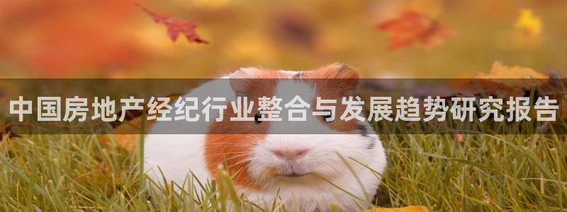 摩登7点：中国房地产经纪行业整合与发展趋势研究报告