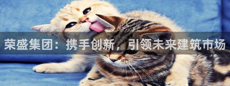 摩登主管7285 7好：荣盛集团：携手创新，引领未来建筑市场
