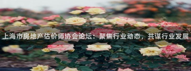 摩登招商臼金手指专业7：上海市房地产估价师协会论坛：聚焦行业