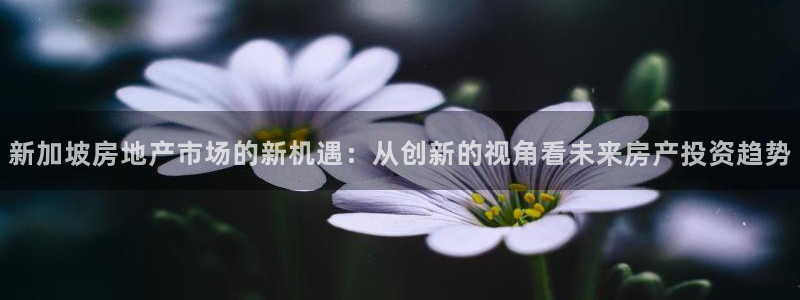 摩登7登录契333OO：新加坡房地产市场的新机遇：从创新的视