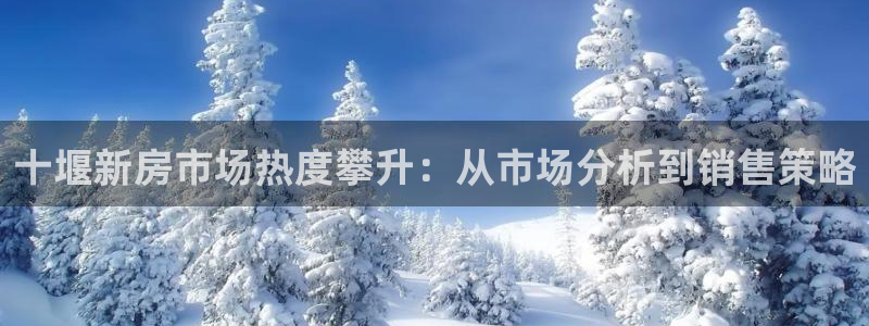 摩登6上7O667