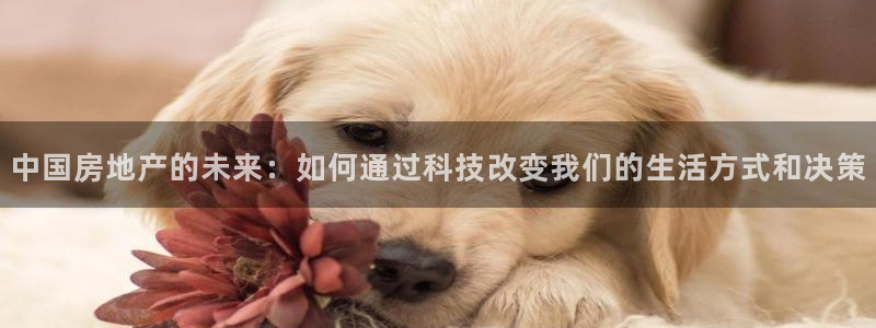 lgg7摩登：中国房地产的未来：如何通过科技改变我们的生活方