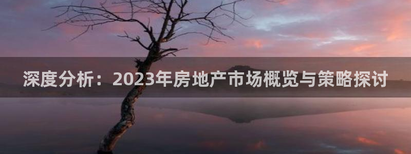 猎杰集团摩登7：深度分析：2023年房地产市场概览与策略探讨