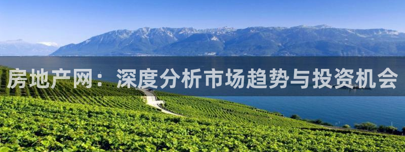 摩登3往找7O667：房地产网：深度分析市场趋势与投资机会