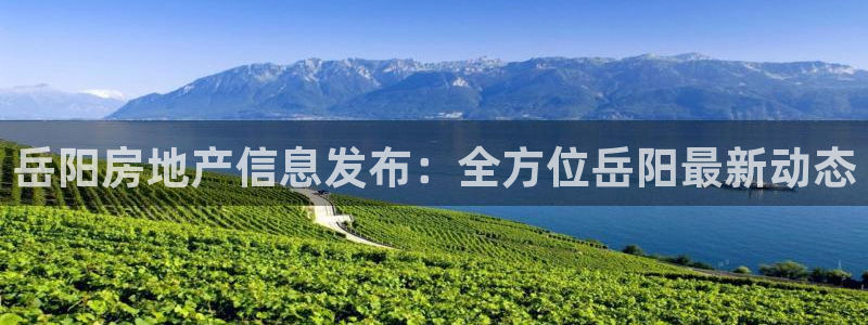 摩登6冯这7O667：岳阳房地产信息发布：全方位岳阳最新动态