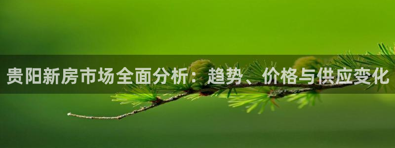摩登7平台登录：贵阳新房市场全面分析：趋势、价格与供应变化