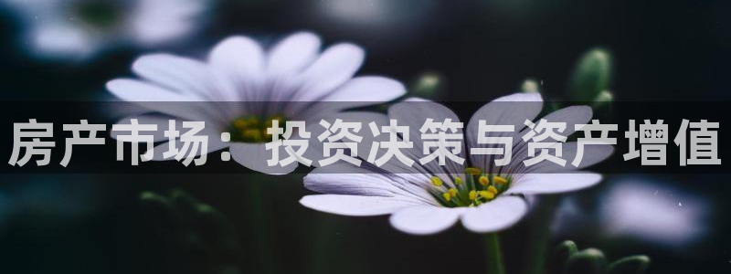 摩登7平台周7O777：房产市场：投资决策与资产增值