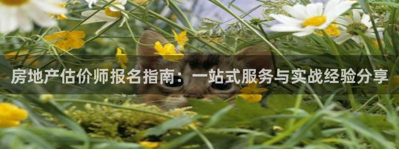 摩登7平台下载：房地产估价师报名指南：一站式服务与实战经验分