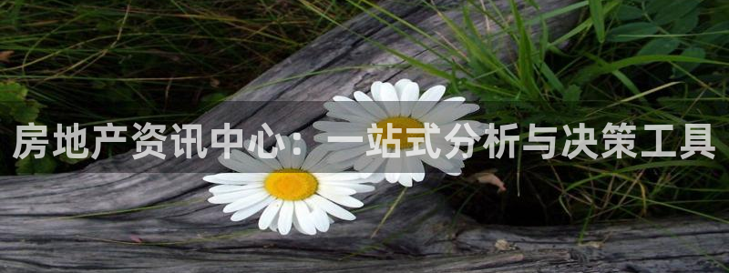 摩登7平台注册账号：房地产资讯中心：一站式分析与决策工具