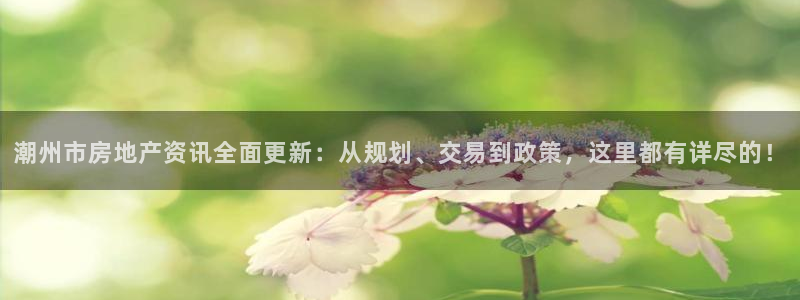 摩登7网站排名：潮州市房地产资讯全面更新：从规划、交易到政策