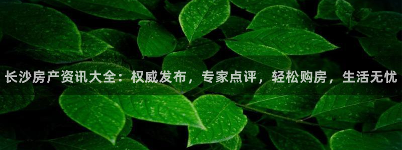 摩登3前7O667：长沙房产资讯大全：权威发布，专家点评，轻