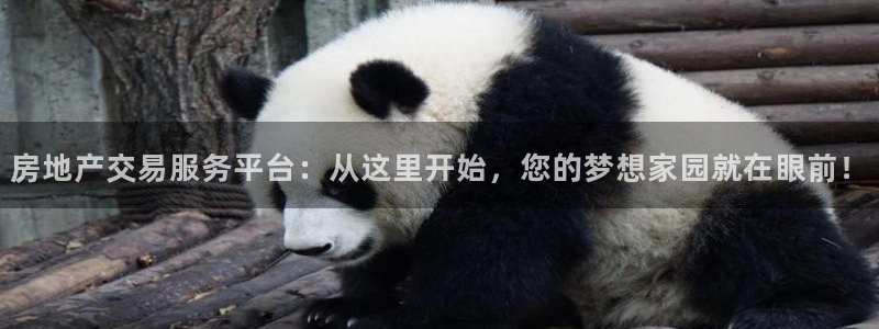 摩登7注册平台：房地产交易服务平台：从这里开始，您的梦想家园