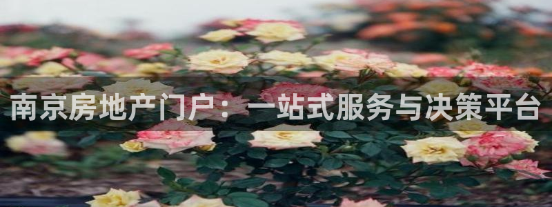 摩登7上：南京房地产门户：一站式服务与决策平台