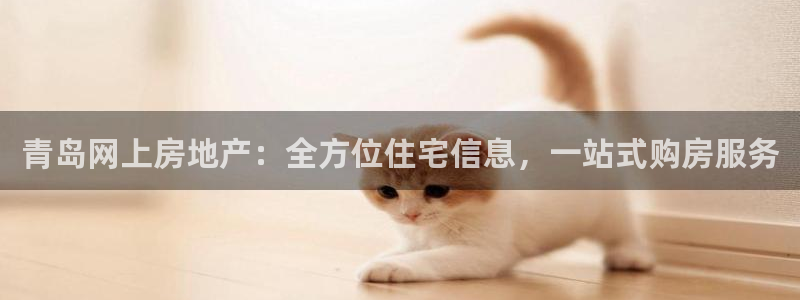 摩登7注册382223：青岛网上房地产：全方位住宅信息，一站