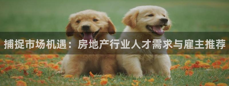 摩登7级：捕捉市场机遇：房地产行业人才需求与雇主推荐