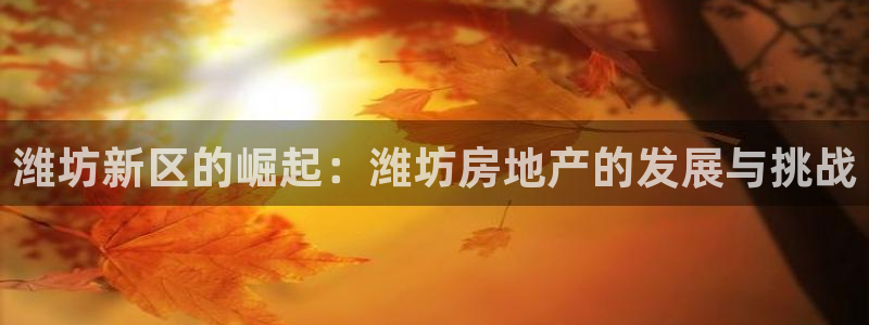 摩登7下：潍坊新区的崛起：潍坊房地产的发展与挑战