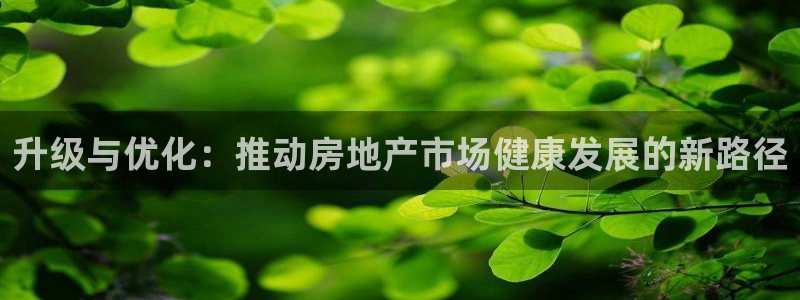 摩登7天7O667：升级与优化：推动房地产市场健康发展的新路