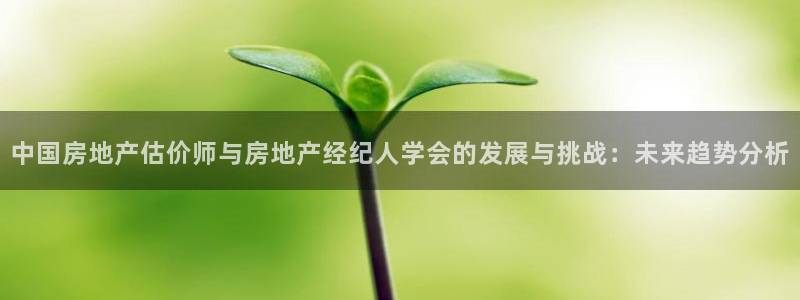 摩登6上7O667：中国房地产估价师与房地产经纪人学会的发展