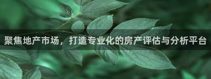 摩登7下载app：聚焦地产市场，打造专业化的房产评估与分析平