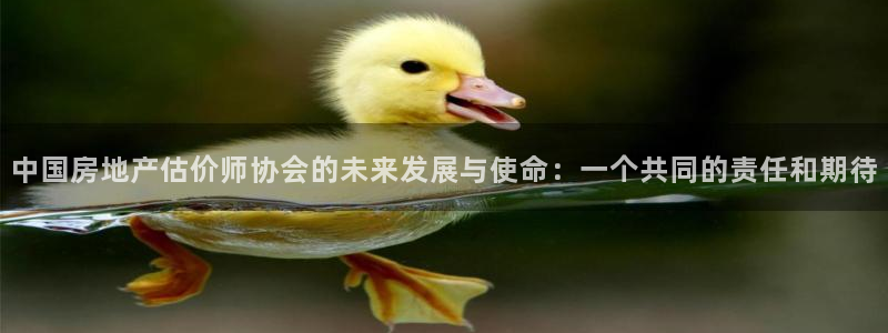 摩登3周这7O667：中国房地产估价师协会的未来发展与使命：