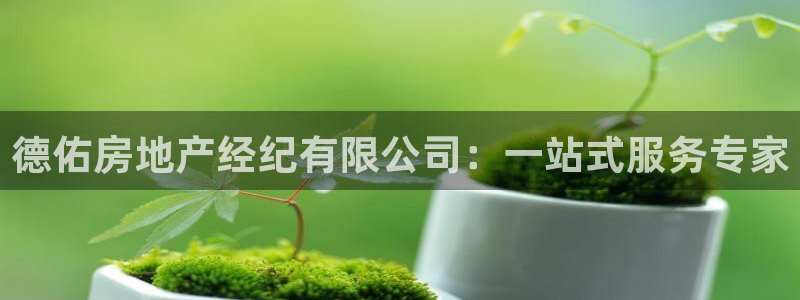 摩登7平台：德佑房地产经纪有限公司：一站式服务专家
