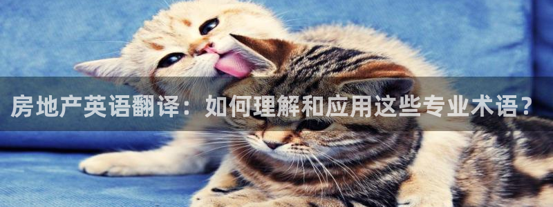 摩登7登陆平台：房地产英语翻译：如何理解和应用这些专业术语？