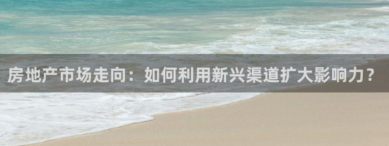 摩登6冯这7O667：房地产市场走向：如何利用新兴渠道扩大影