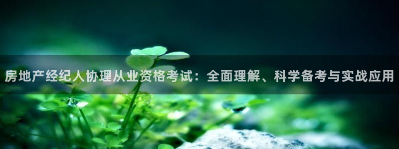 摩登7登录脱333OO：房地产经纪人协理从业资格考试：全面理