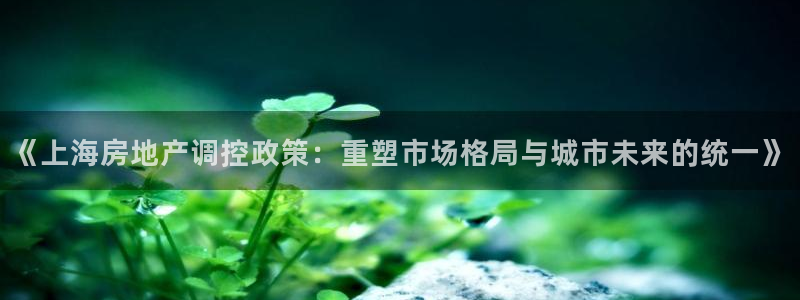 摩登7平台登录下载：《上海房地产调控政策：重塑市场格局与城市