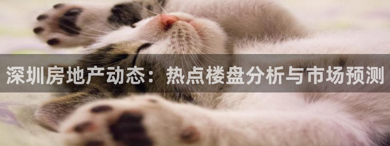 摩登4下7O667：深圳房地产动态：热点楼盘分析与市场预测
