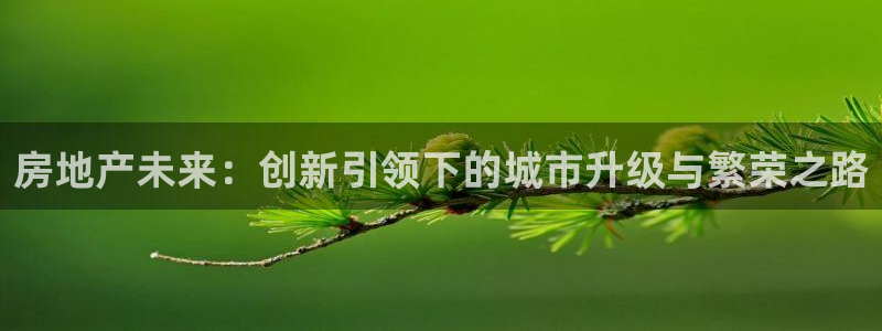 摩登7天7O667：房地产未来：创新引领下的城市升级与繁荣之