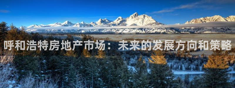 摩登6后7O667：呼和浩特房地产市场：未来的发展方向和策略